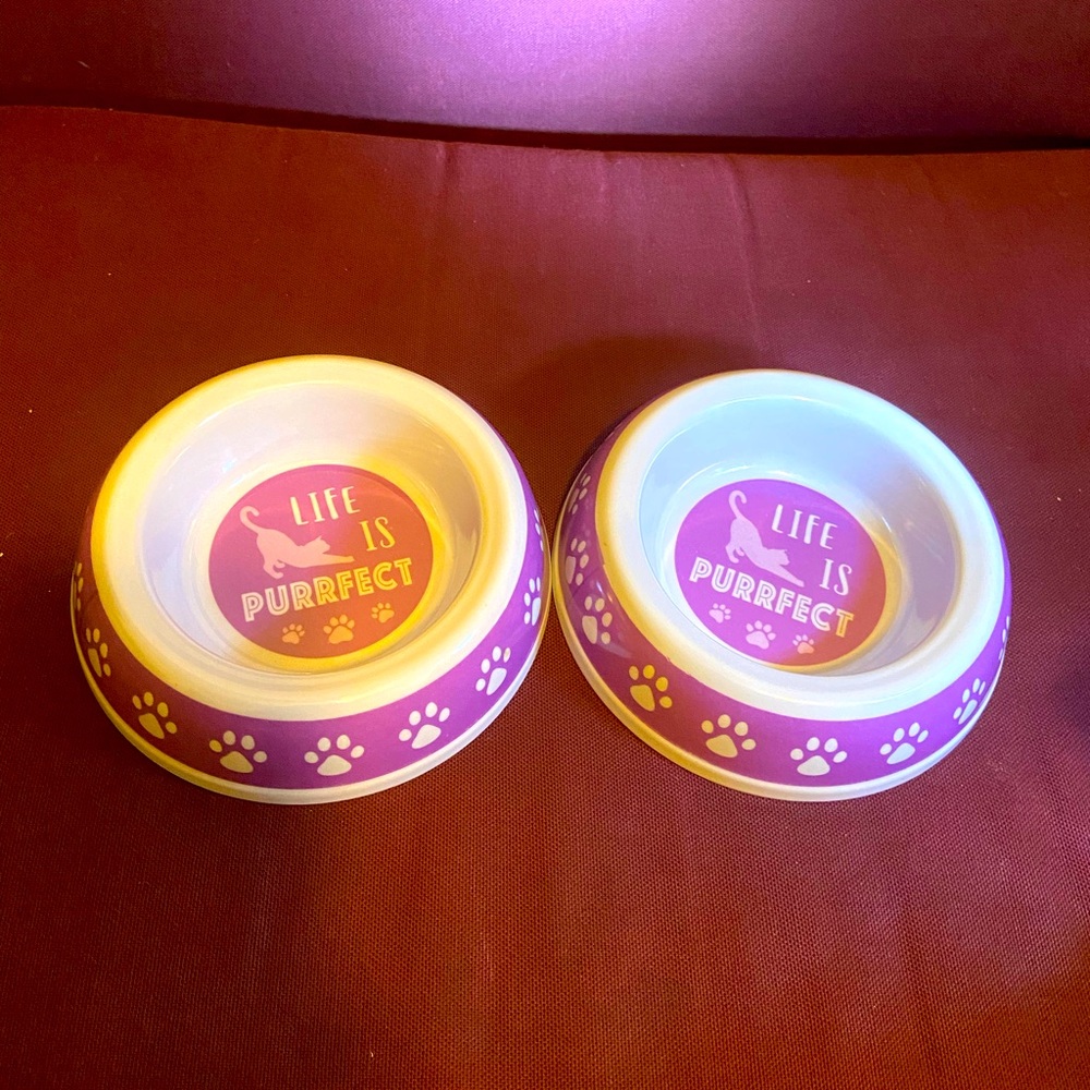 Cat Food Bowls Set of Two